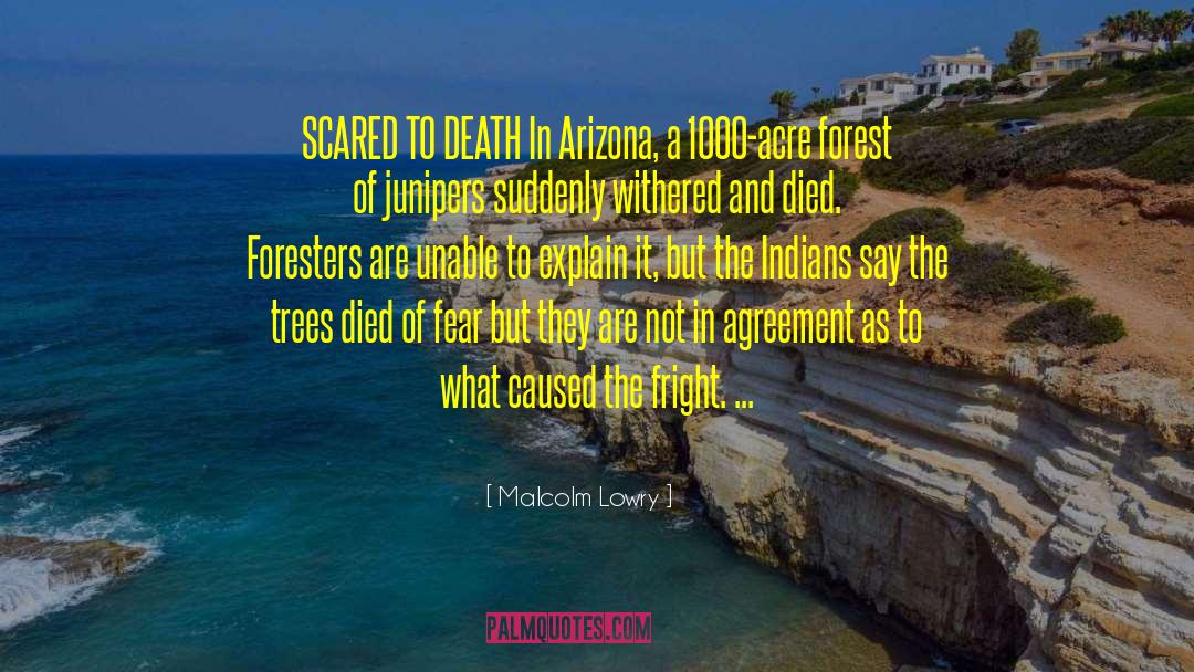 Malcolm Lowry Quotes: SCARED TO DEATH In Arizona,