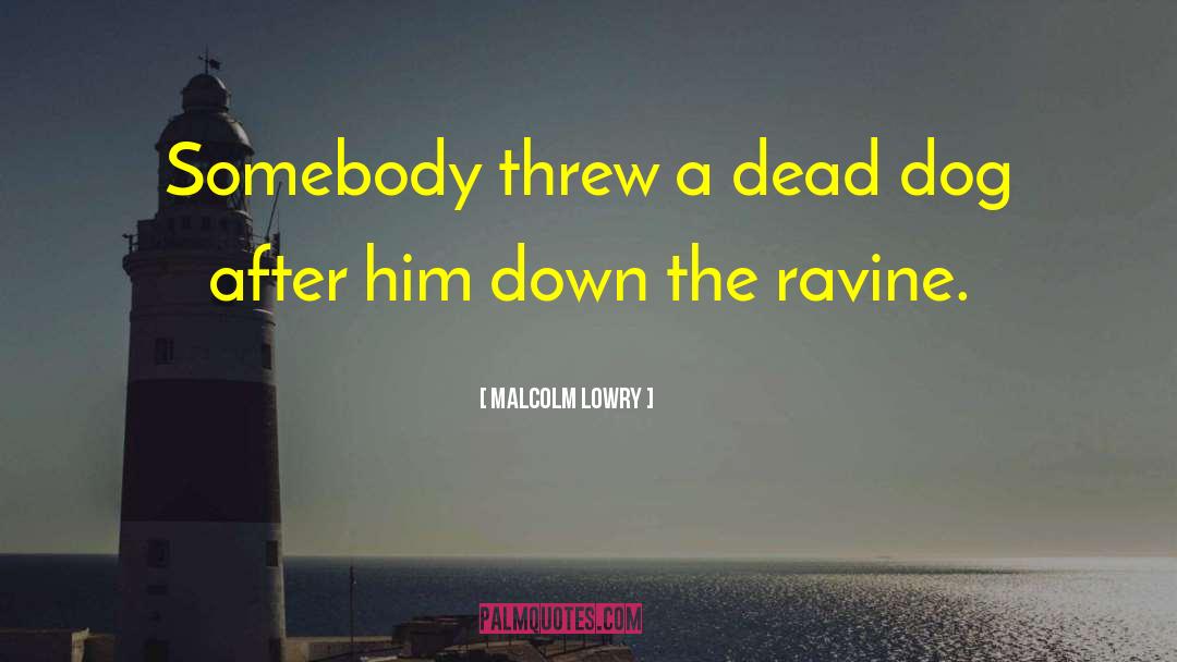 Malcolm Lowry Quotes: Somebody threw a dead dog