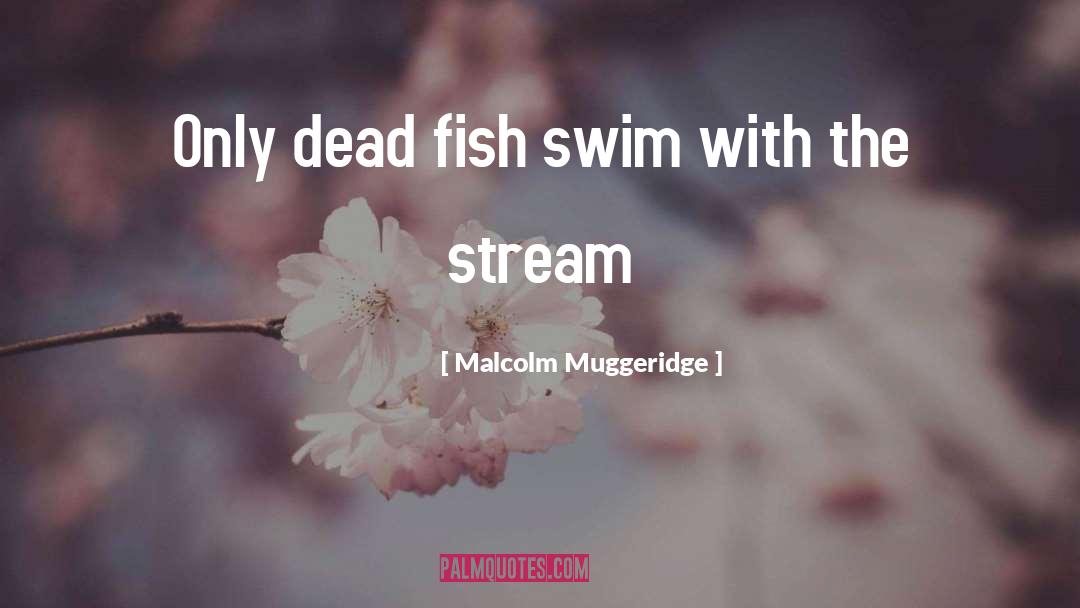 Malcolm Muggeridge Quotes: Only dead fish swim with