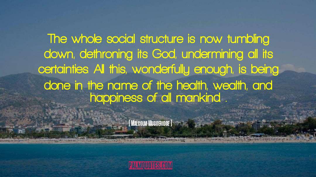 Malcolm Muggeridge Quotes: The whole social structure is