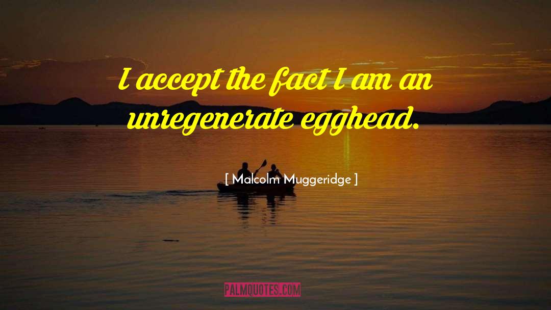 Malcolm Muggeridge Quotes: I accept the fact I