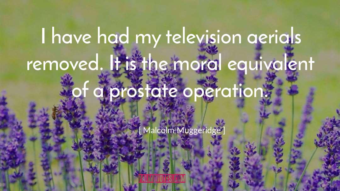 Malcolm Muggeridge Quotes: I have had my television