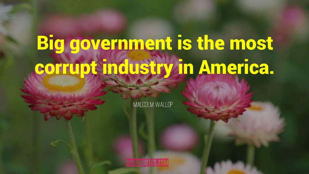 Malcolm Wallop Quotes: Big government is the most