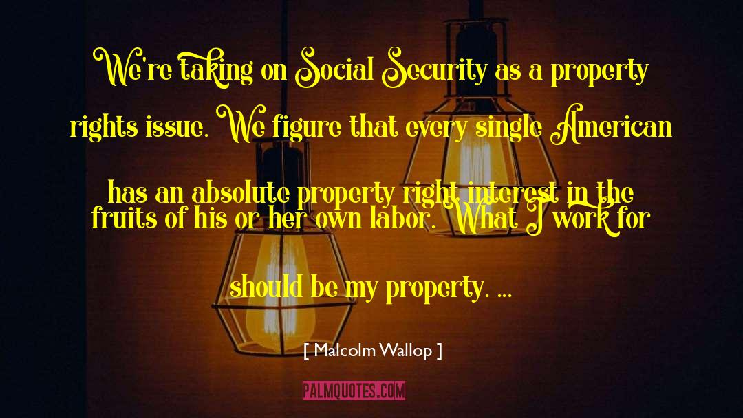 Malcolm Wallop Quotes: We're taking on Social Security