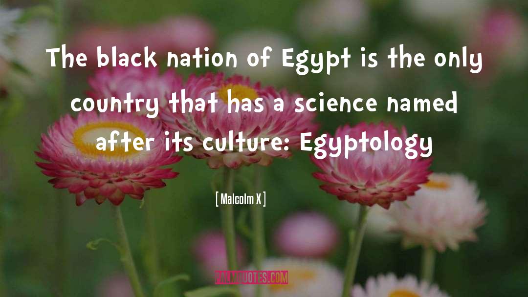 Malcolm X Quotes: The black nation of Egypt