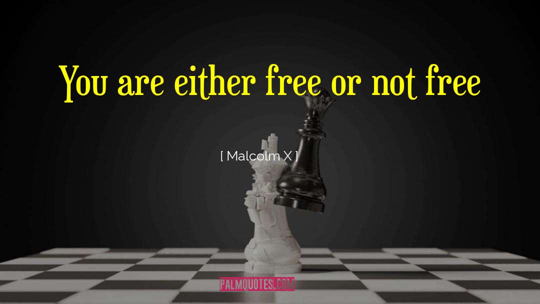 Malcolm X Quotes: You are either free or