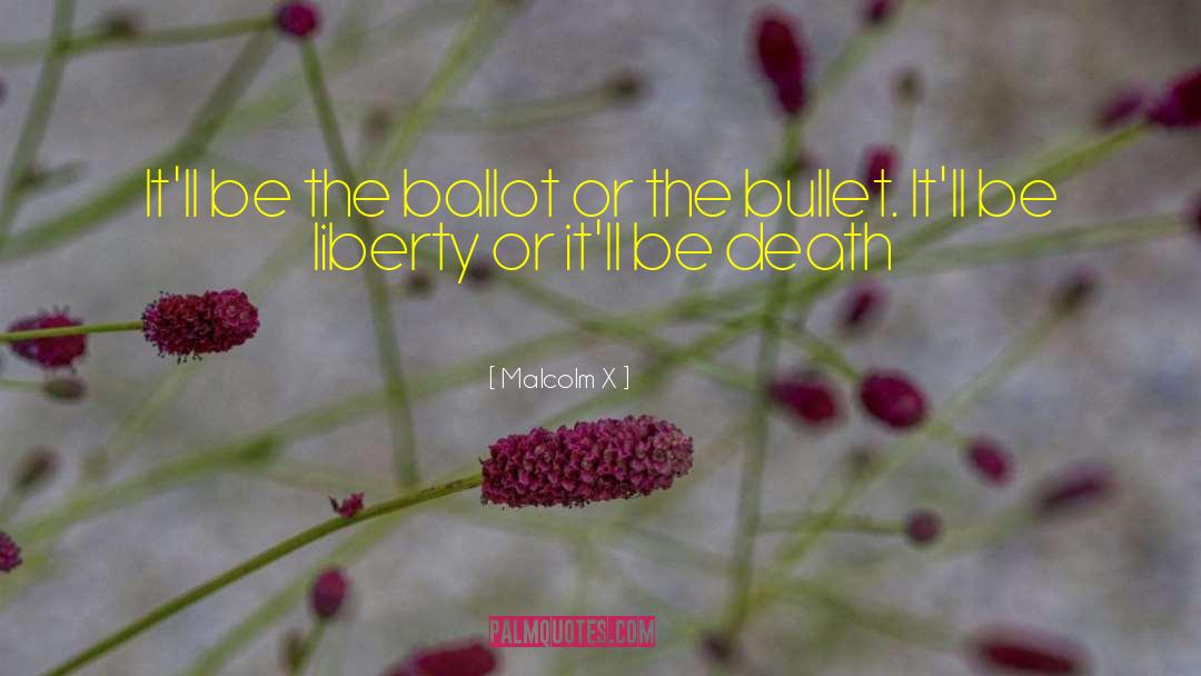 Malcolm X Quotes: It'll be the ballot or