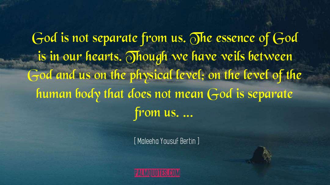 Maleeha Yousuf Bertin Quotes: God is not separate from