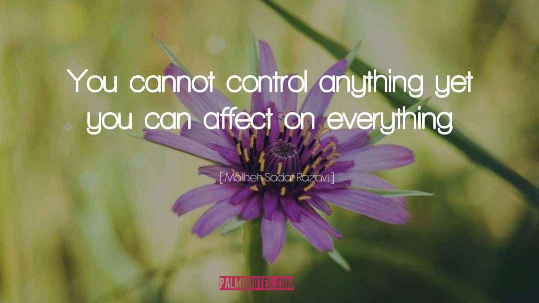 Maliheh Sadat Razavi Quotes: You cannot control anything yet