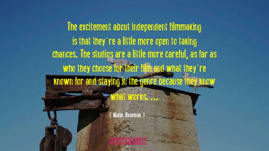 Malin Akerman Quotes: The excitement about independent filmmaking