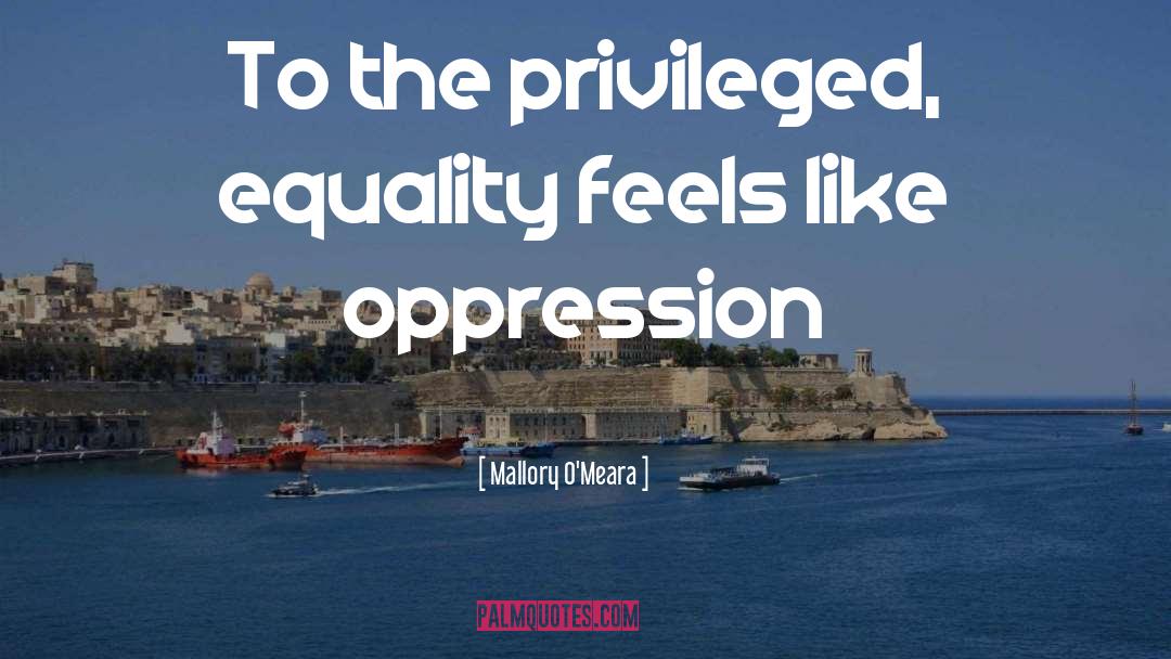 Mallory O'Meara Quotes: To the privileged, equality feels