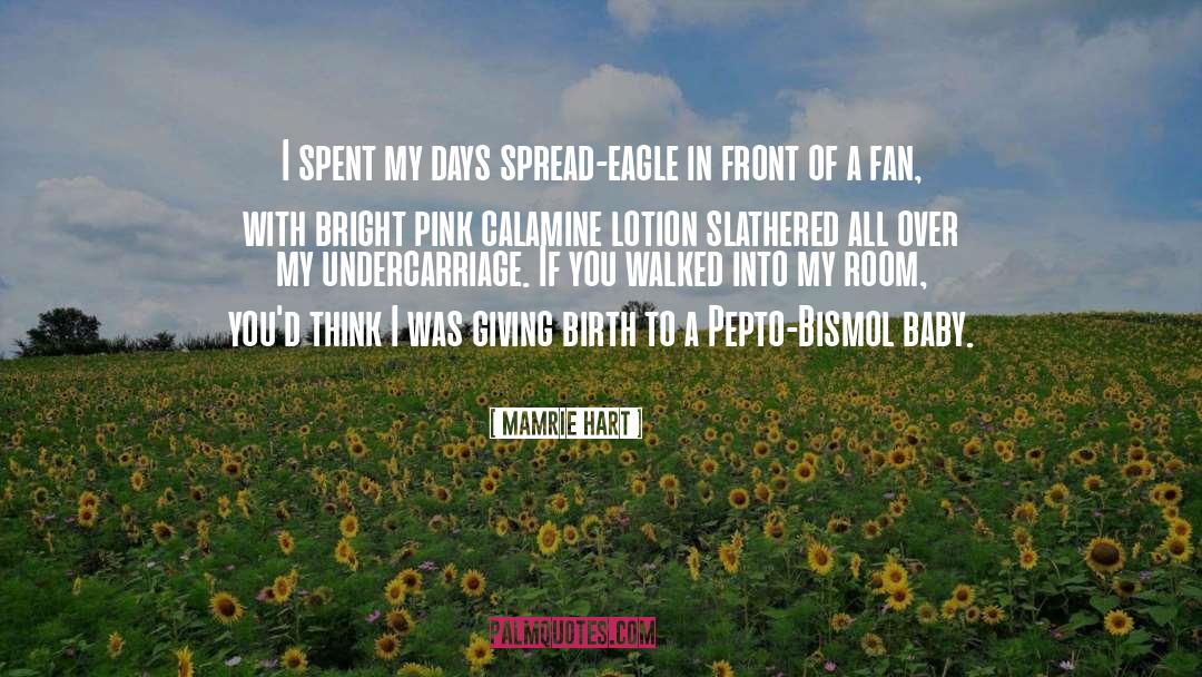Mamrie Hart Quotes: I spent my days spread-eagle