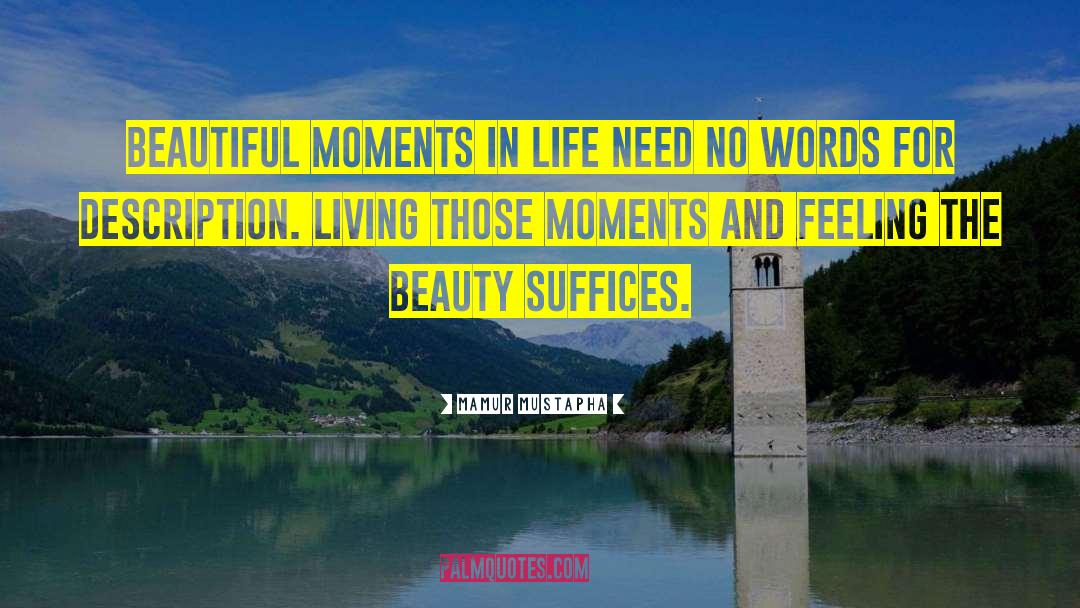 Mamur Mustapha Quotes: Beautiful moments in life need