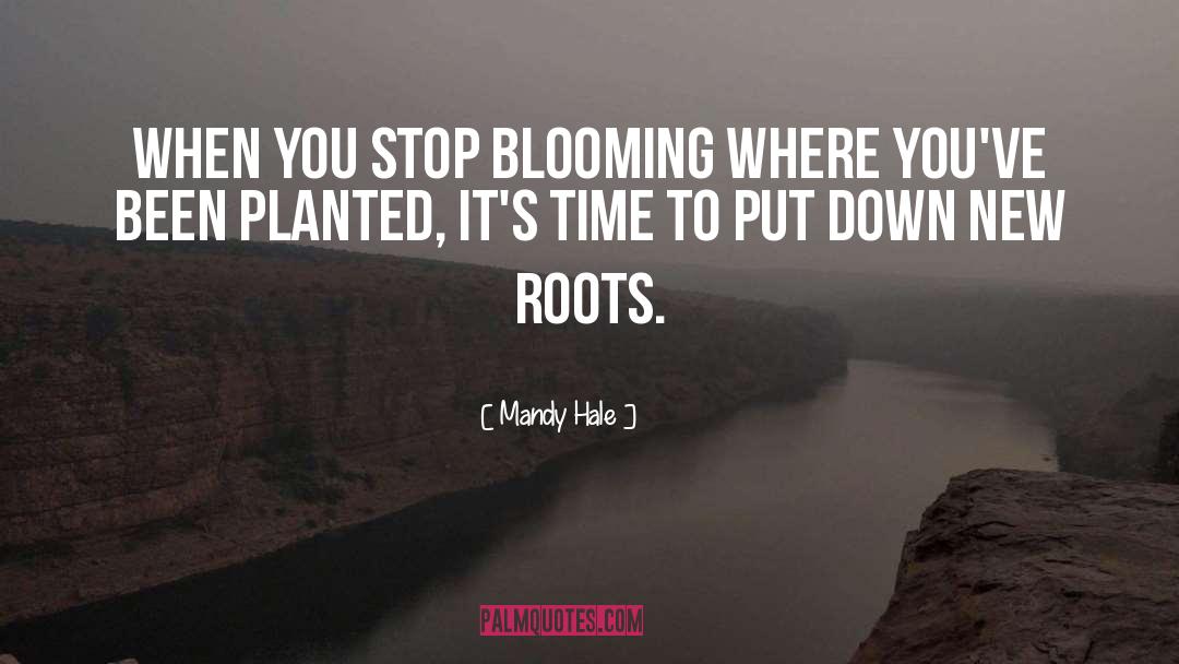 Mandy Hale Quotes: When you stop blooming where