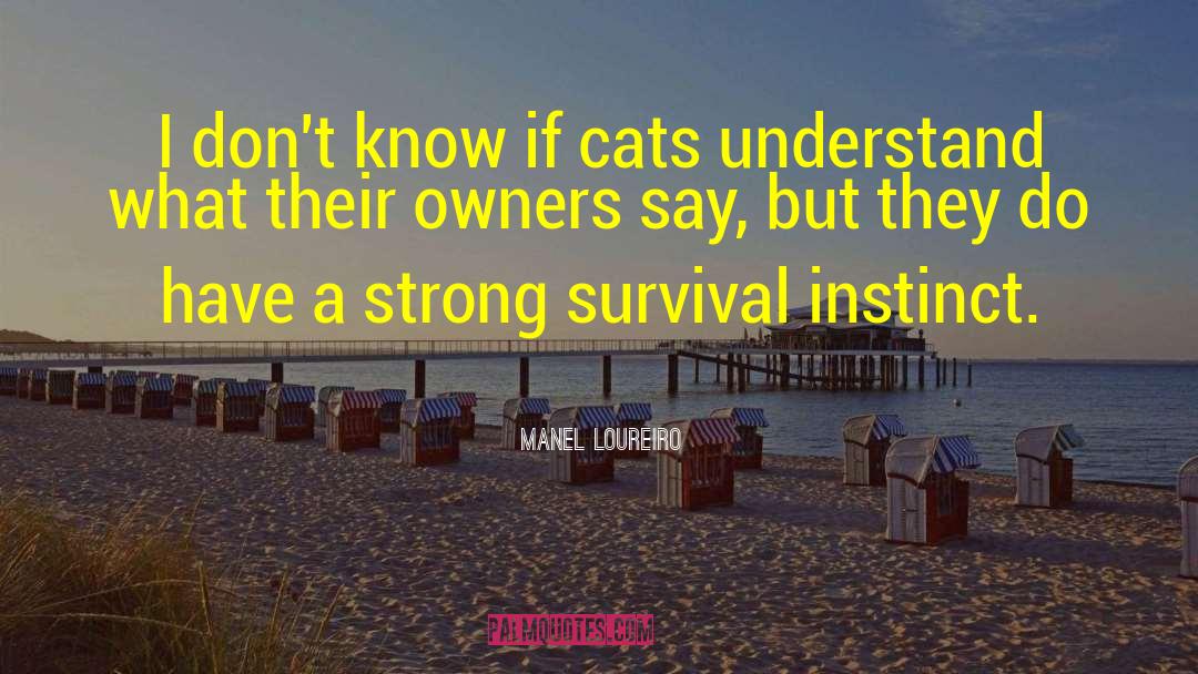 Manel Loureiro Quotes: I don't know if cats