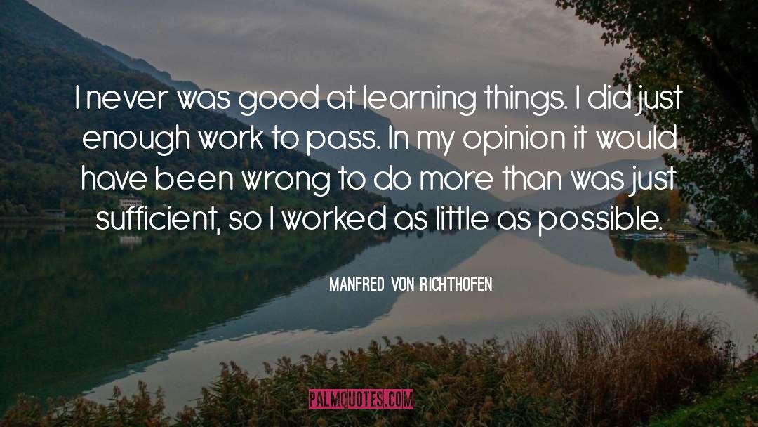Manfred Von Richthofen Quotes: I never was good at