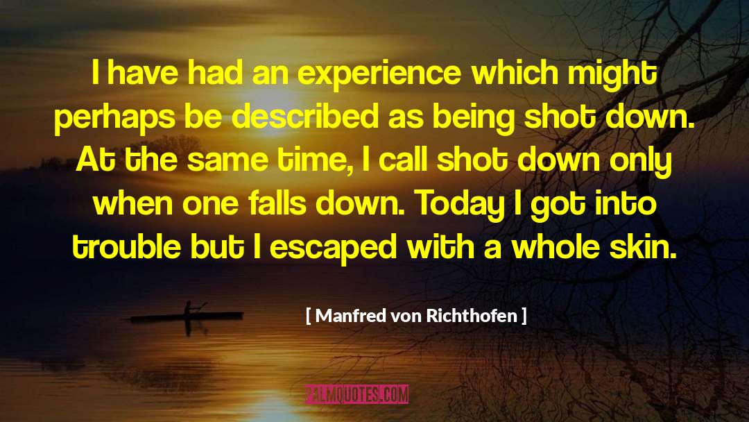 Manfred Von Richthofen Quotes: I have had an experience