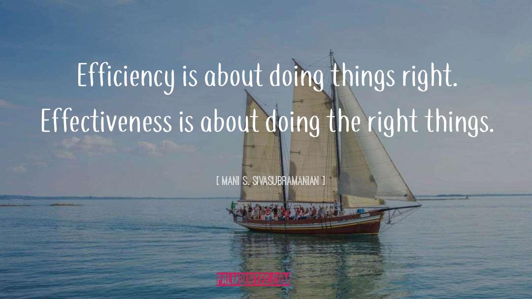 Mani S. Sivasubramanian Quotes: Efficiency is about doing things