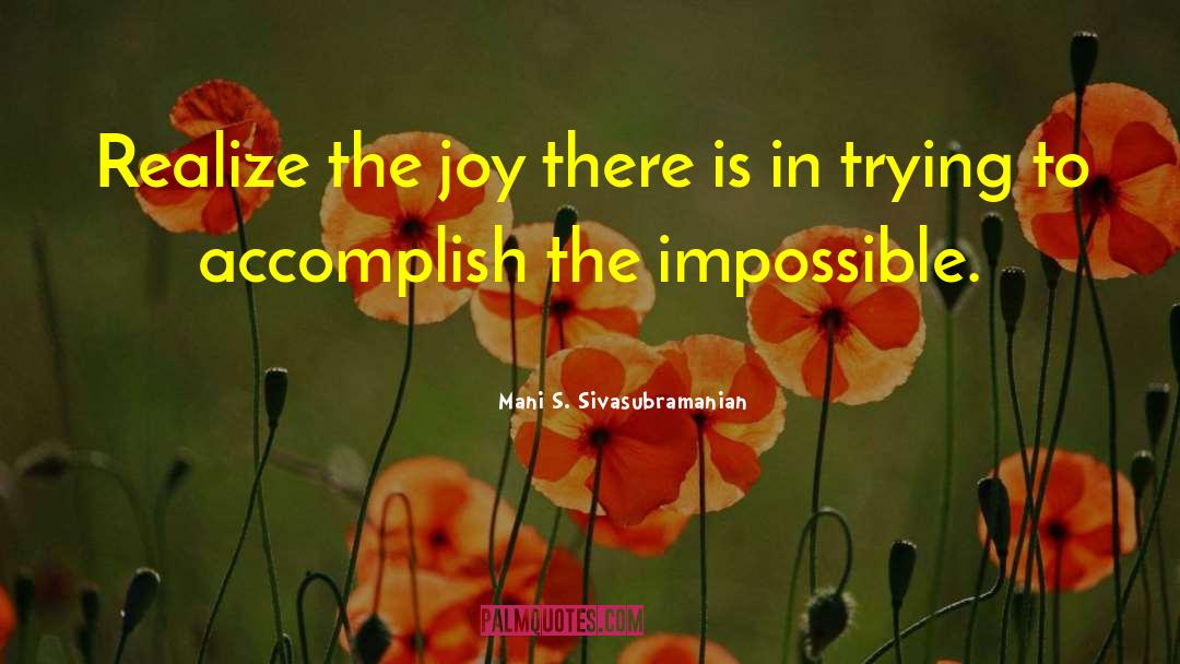 Mani S. Sivasubramanian Quotes: Realize the joy there is