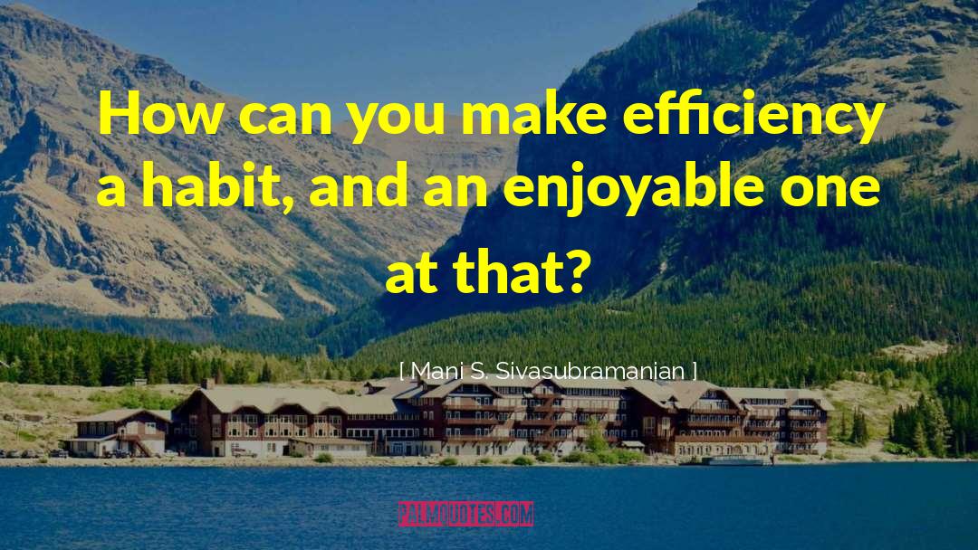 Mani S. Sivasubramanian Quotes: How can you make efficiency