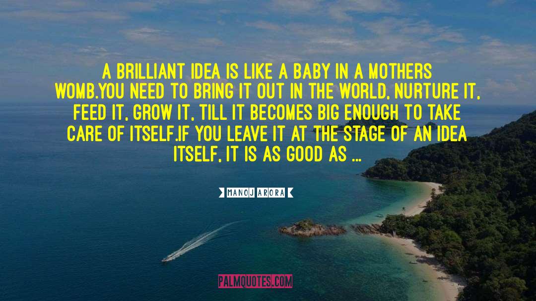 Manoj Arora Quotes: A brilliant idea is like