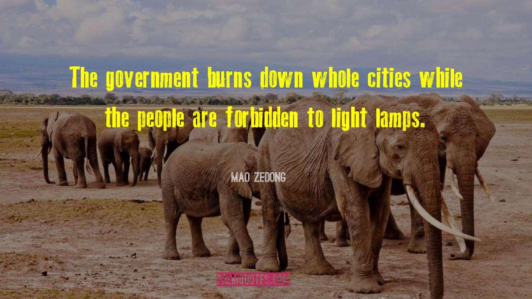 Mao Zedong Quotes: The government burns down whole