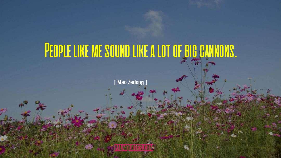 Mao Zedong Quotes: People like me sound like