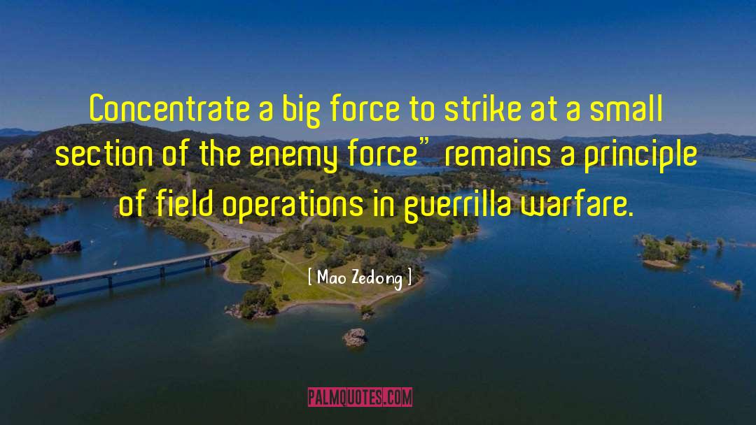 Mao Zedong Quotes: Concentrate a big force to