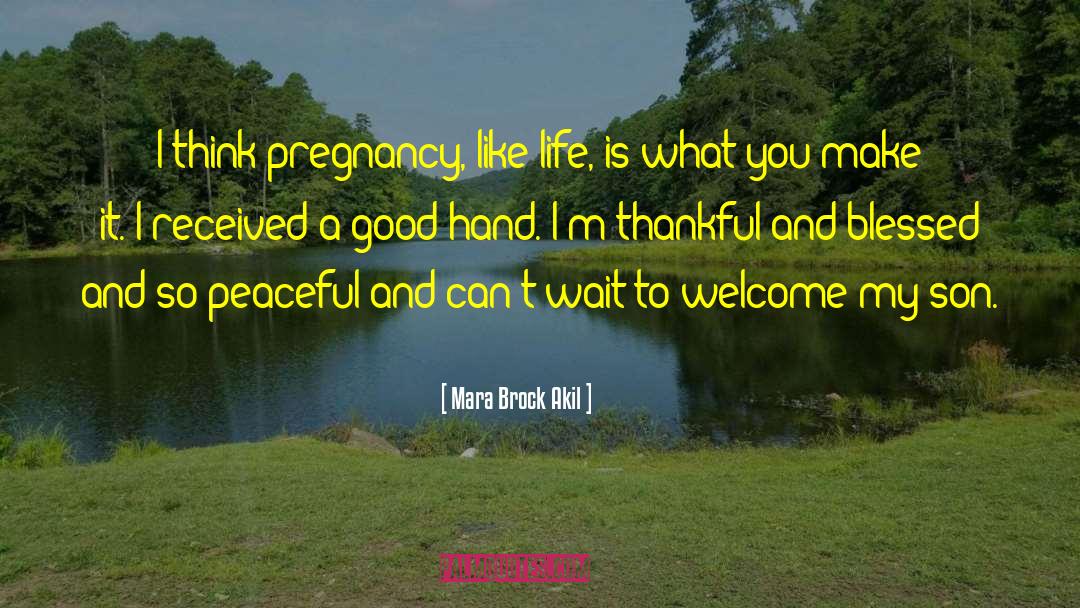 Mara Brock Akil Quotes: I think pregnancy, like life,