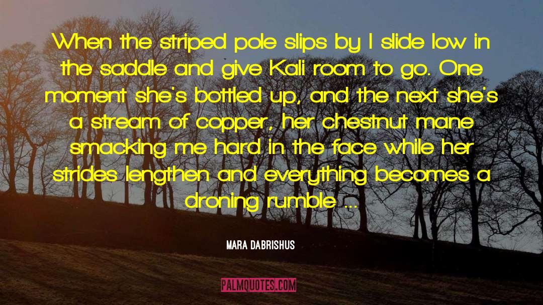 Mara Dabrishus Quotes: When the striped pole slips