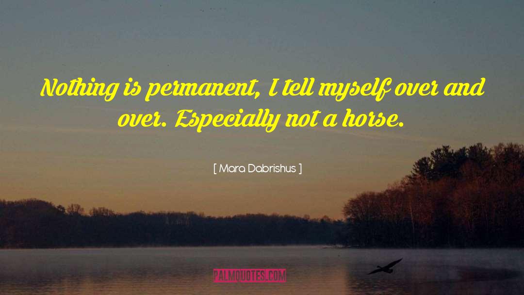 Mara Dabrishus Quotes: Nothing is permanent, I tell