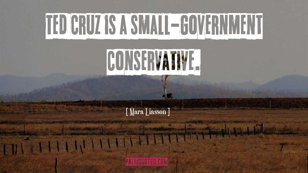 Mara Liasson Quotes: Ted Cruz is a small-government