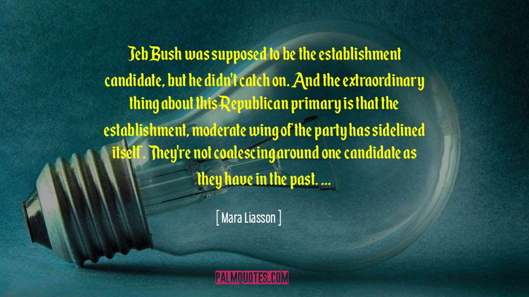 Mara Liasson Quotes: Jeb Bush was supposed to