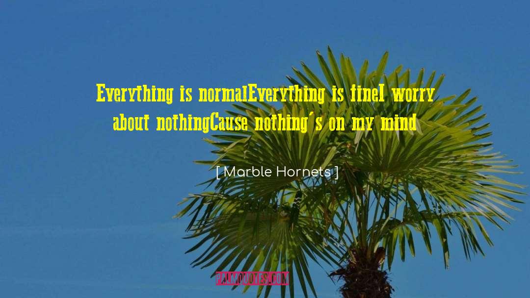 Marble Hornets Quotes: Everything is normal<br />Everything is