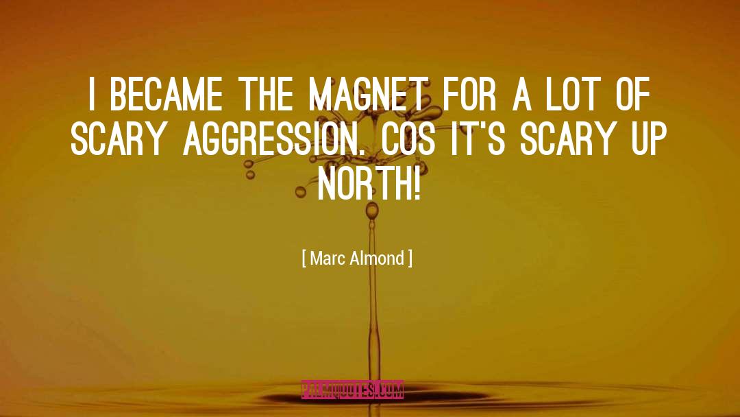 Marc Almond Quotes: I became the magnet for