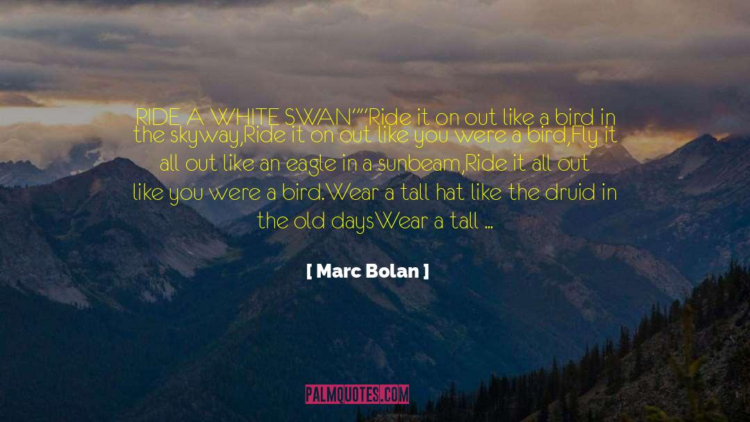 Marc Bolan Quotes: RIDE A WHITE SWAN