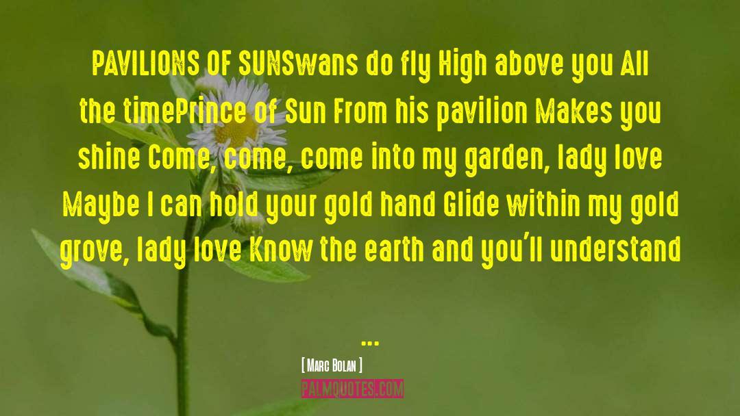 Marc Bolan Quotes: PAVILIONS OF SUN<br>Swans do fly