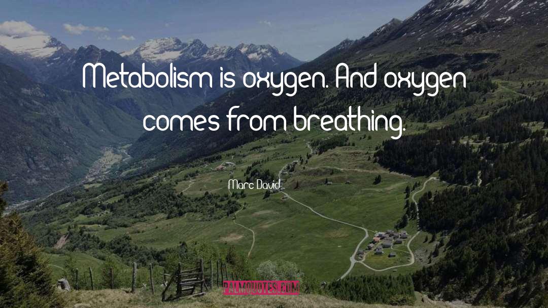 Marc David Quotes: Metabolism is oxygen. And oxygen