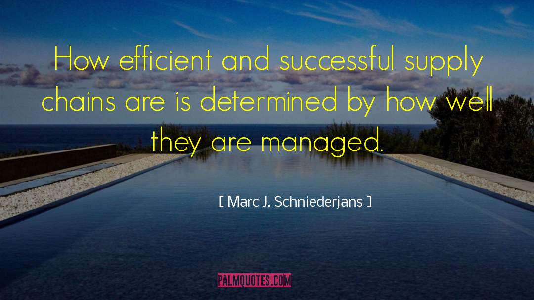 Marc J. Schniederjans Quotes: How efficient and successful supply