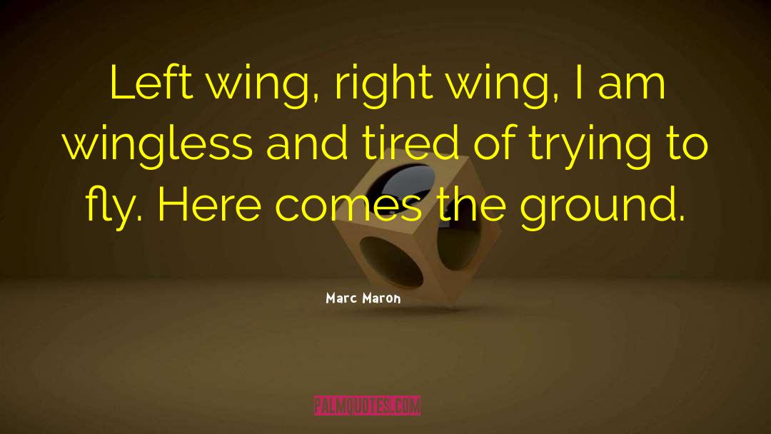Marc Maron Quotes: Left wing, right wing, I