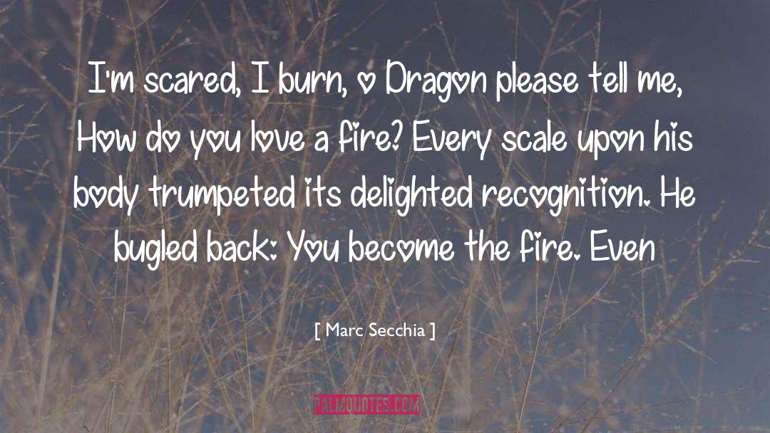 Marc Secchia Quotes: I'm scared, I burn, o