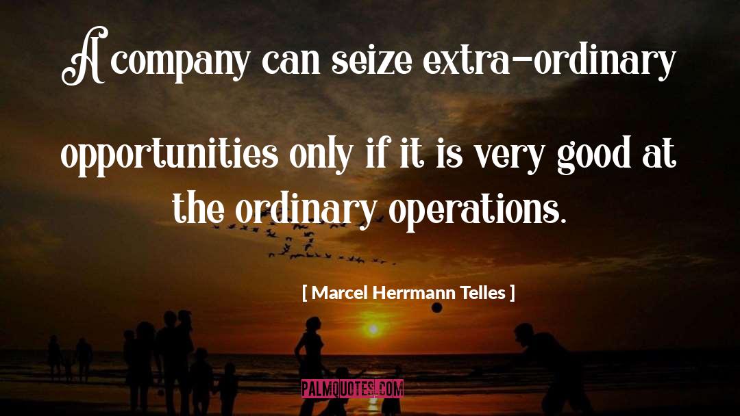 Marcel Herrmann Telles Quotes: A company can seize extra-ordinary