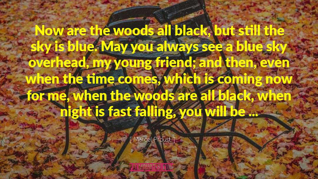 Marcel Proust Quotes: Now are the woods all