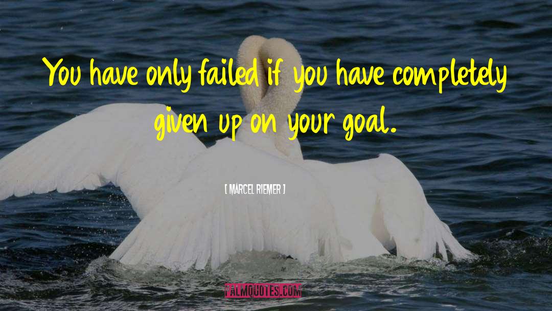 Marcel Riemer Quotes: You have only failed if