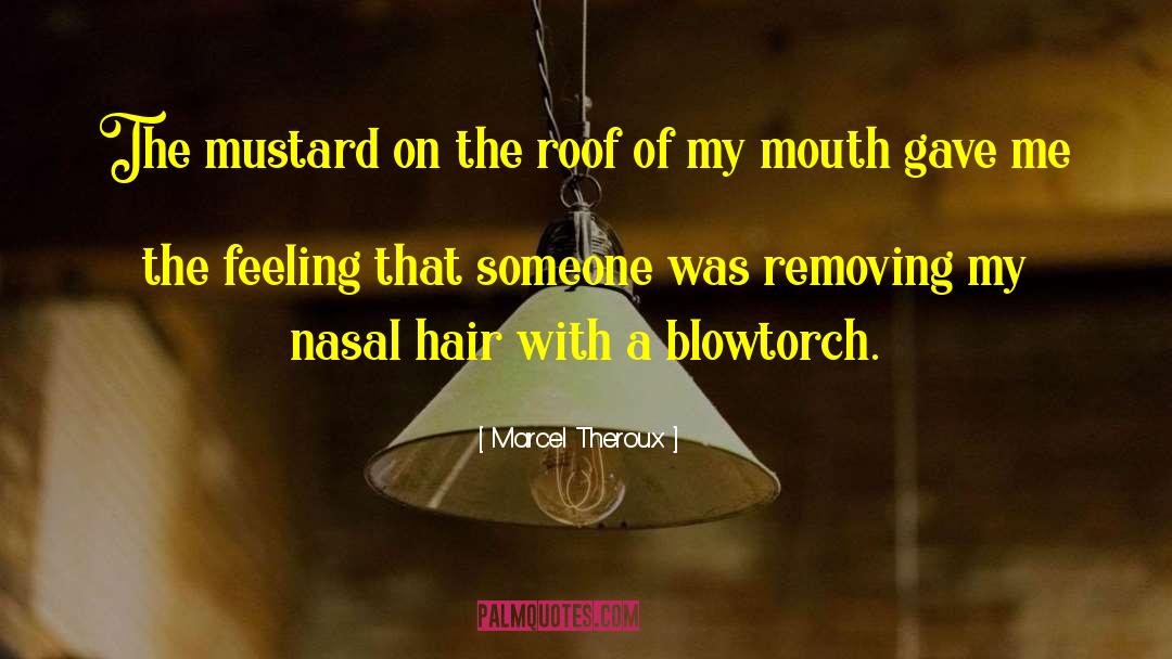 Marcel Theroux Quotes: The mustard on the roof
