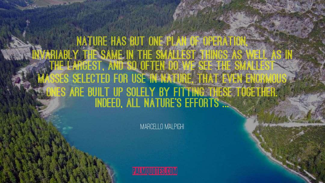 Marcello Malpighi Quotes: Nature has but one plan