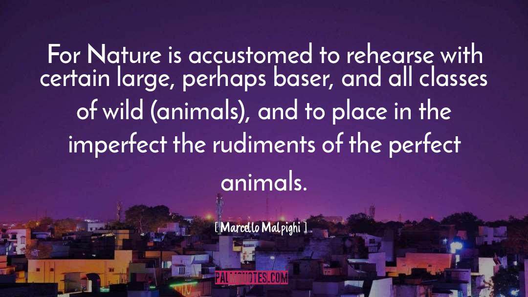 Marcello Malpighi Quotes: For Nature is accustomed to