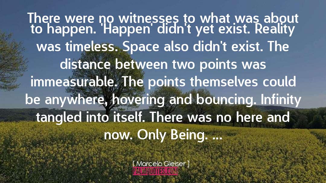 Marcelo Gleiser Quotes: There were no witnesses to