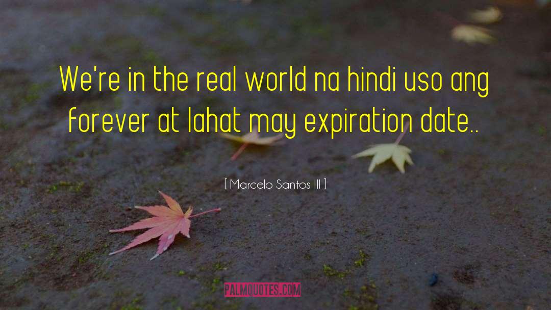 Marcelo Santos III Quotes: We're in the real world