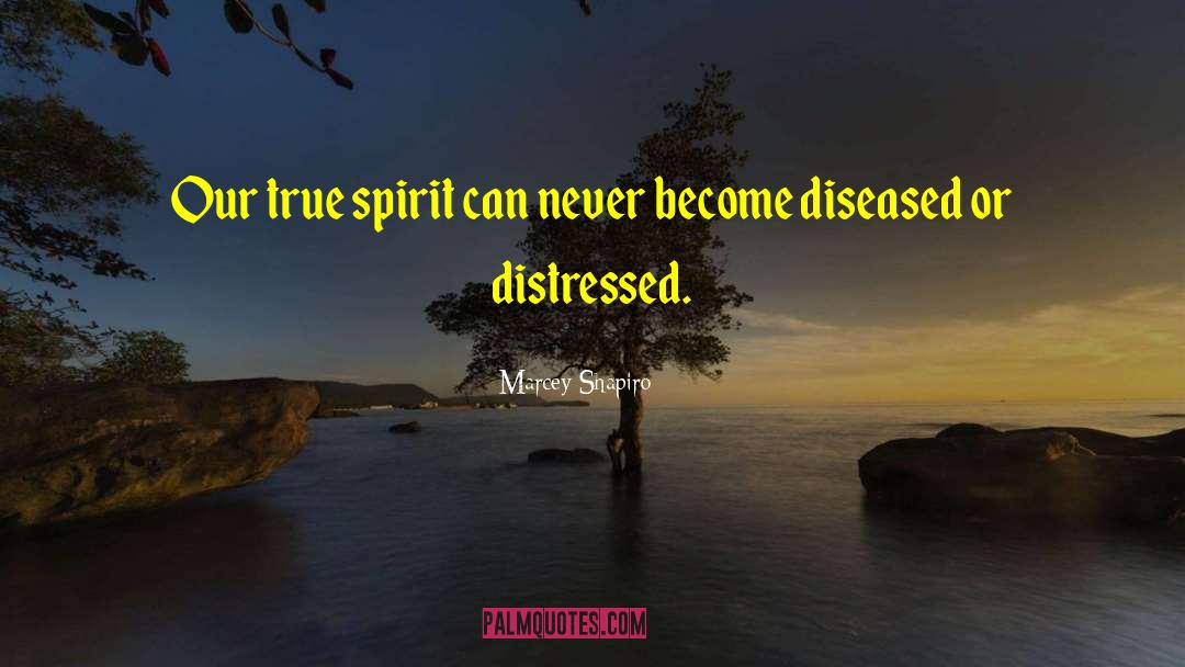 Marcey Shapiro Quotes: Our true spirit can never